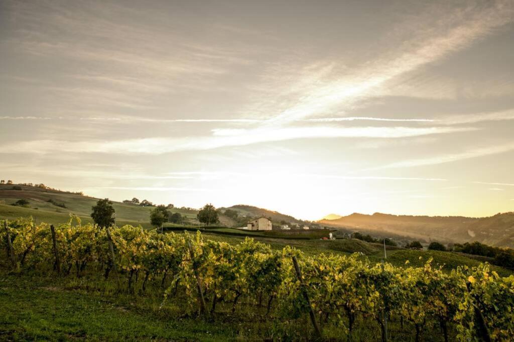 La Casa Vacanza Con Vista Panoramica Sui Vigneti Rotella Exterior photo
